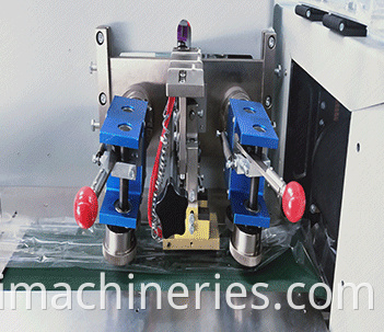 Fruit Vegetable Packaging Machine